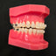 CX Ceramic .018 Roth Brackets Hooks 3's